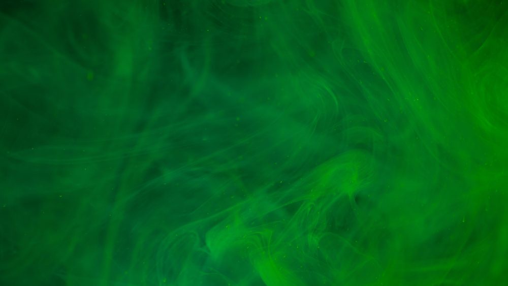 engin-akyurt-e2xs7txnzps-unsplash-1 engin-akyurt-e2xs7txnzps-unsplash-1